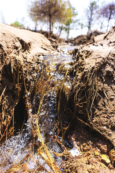     積水形成的沼澤四處可見汪汪流水。