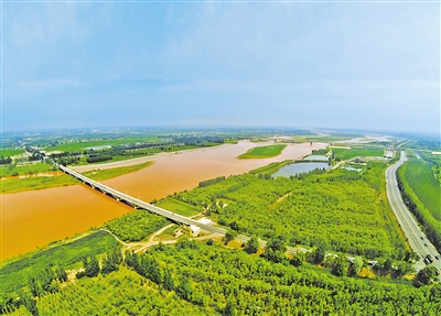 黃河滋養著寧夏這片沃土，兩岸處處生機盎然。（資料圖片）                                                                                         本報記者 王曉龍 攝