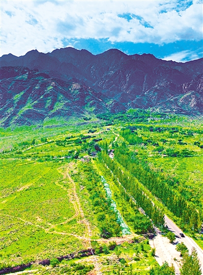     綠色——賀蘭山，寧夏的父親山。隨著近年來賀蘭山生態保衛戰的打響，賀蘭山生態逐步恢復，是寧夏踐行“綠水青山就是金山銀山”理念的生動寫照。     本報記者 馬楠 攝