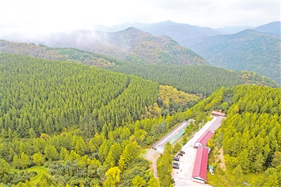     位于六盤山國家森林公園內的王化南護林點。